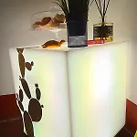 Casa Officina *